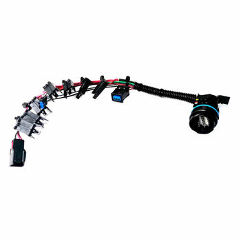 Arnes 7 Conectores de 2 pines y Conector de Casco 2011/UP 6R140