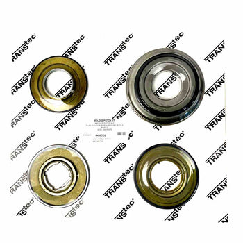 Juego de Pistones Freudenberg AW 2005/UP AF21 TF-81SC