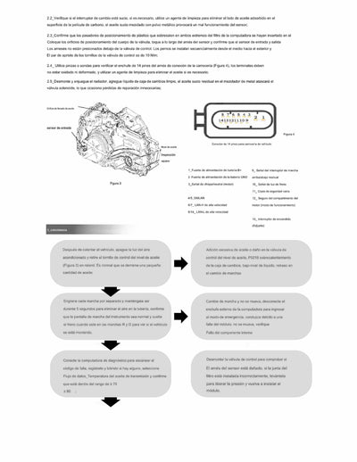 Modulo Control Transmision TCM Reconstruido 24268164 14/UP 6T40 6T45 6T30 6T50 con Solenoides Gen2,3