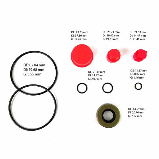 Kit de Bomba Direccion Freudenberg VICKERS SERIES V20