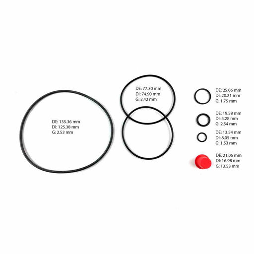 Kit de Bomba Direccion Freudenberg SAGINAW BLUE BIRD MOD-143