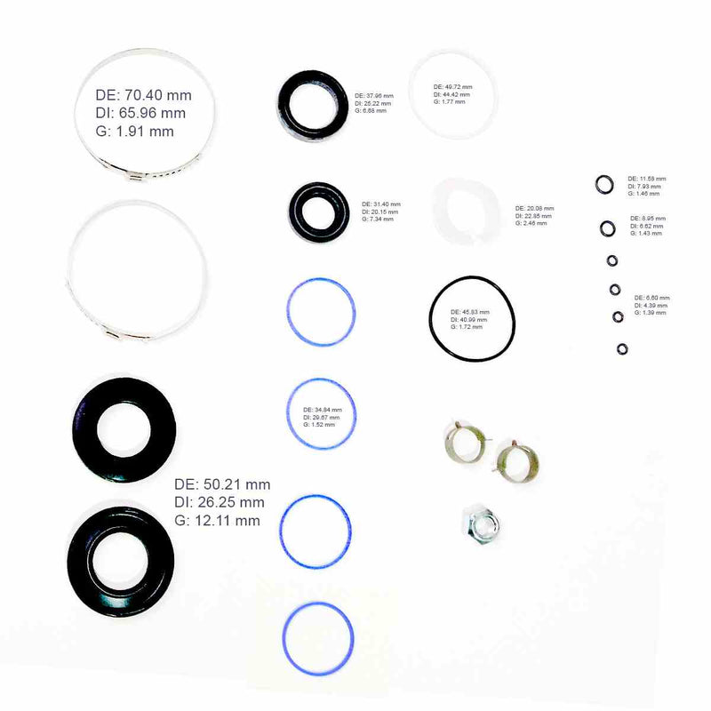 KIT DE CREMALLERA HYUNDAI KIA ENTOURAGE AMANTI SEDONA 