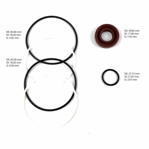 Kit Bomba de Direccion Freudenberg ZF 7677955180