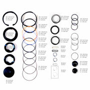 Kit Completo Caja Direccion Freudenberg SHEPPARD M100 Liga Tipo L de Sector y Liga Moderna de Sinfin