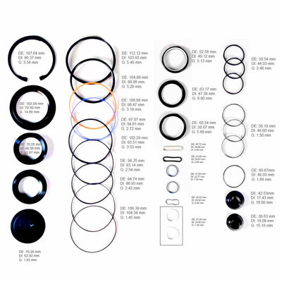 Kit Completo Caja Direccion Freudenberg SHEPPARD M100 Liga Tipo L de Sector y Liga Moderna de Sinfin