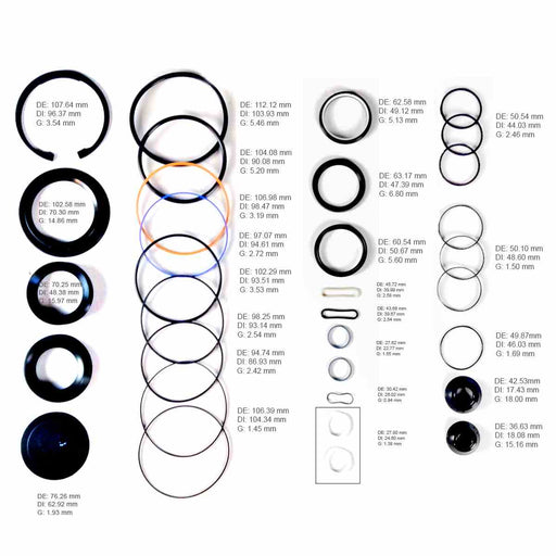 Kit Completo Caja Direccion Freudenberg SHEPPARD M100 Liga Tipo L de Sector y Liga Moderna de Sinfin