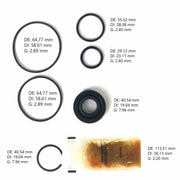 Kit Bomba de Direccion Freudenbeg TRW EV SERIES 