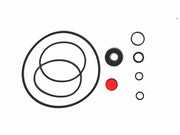 Kit de Bomba Direccion Freudenberg SAGINAW C-60 C-70