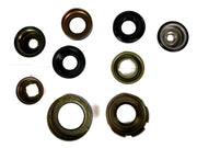 KIT PISTONES (9)  FNR5 FS5A-EL - Transmisiones Veinte 07