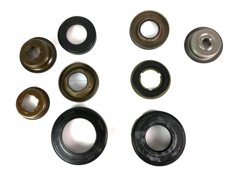 KIT PISTONES (9)  FNR5 FS5A-EL - Transmisiones Veinte 07