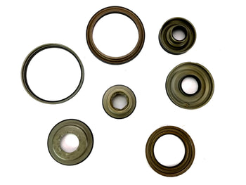 Juego de Pistones Freudenberg NOK VW 1995/UP 01M 095 096 097 098 - Transmisiones Veinte 07