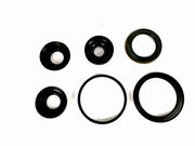 Juego de Pistones Freudenberg Renault 1989/UP AR4 AD4 AD8 - Transmisiones Veinte 07