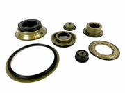 Juego de Pistones Freudenberg Renault 1998/UP DPO - Transmisiones Veinte 07