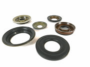 Juego de Pistones Freudenberg Subaru Lineartronic CVT 2009/UP TR690 - Transmisiones Veinte 07