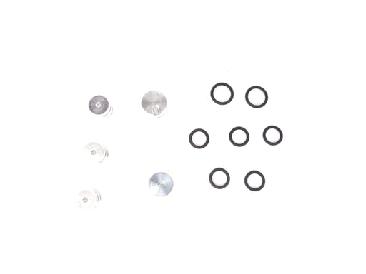 O RINGED END PLUG KIT            BAXA