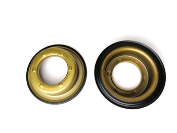 Kit Pistones [2] B6VA BAXA