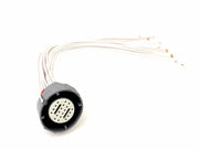 KIT REPARACION Y TESTEO Arnes EXTERNO (20 PIN) 4L80E, 4T40E, 4T80E, 4T65E, 4L60E, 4L70E, 1000