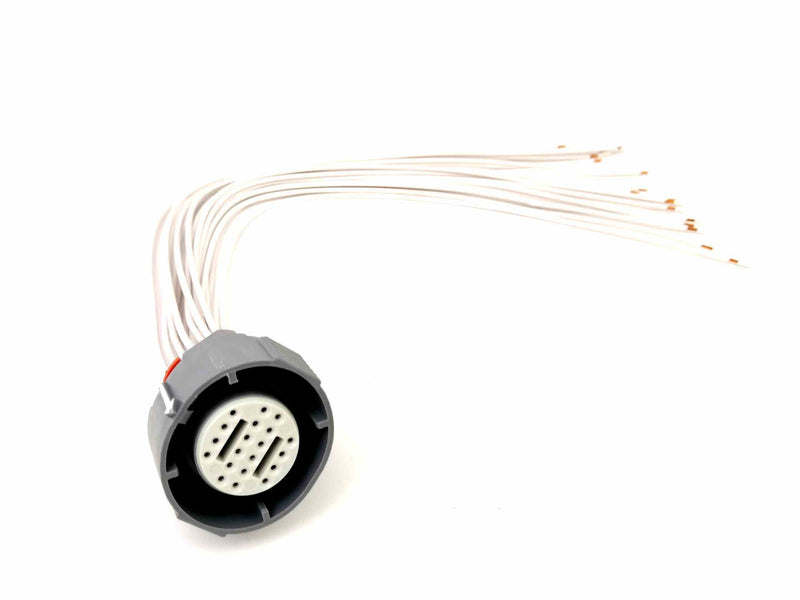 KIT REPARACION Y TESTEO Arnes EXTERNO (20 PIN) 4L80E, 4T40E, 4T80E, 4T65E, 4L60E, 4L70E, 1000