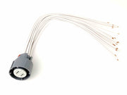 KIT REPARACION Y TESTEO Arnes EXTERNO (20 PIN) 4L80E, 4T40E, 4T80E, 4T65E, 4L60E, 4L70E, 1000