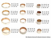 Kit de Bujes (12) 45RFE 5-45RFE 