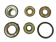 Pistones 62TE Dodge Chrysler 4233 Freudenberg Veinte07 México